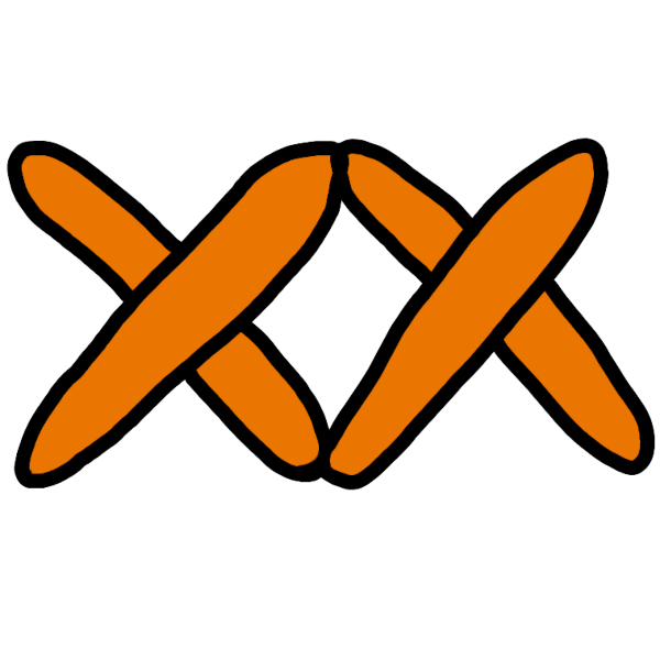two orange 'x's right next to each other.